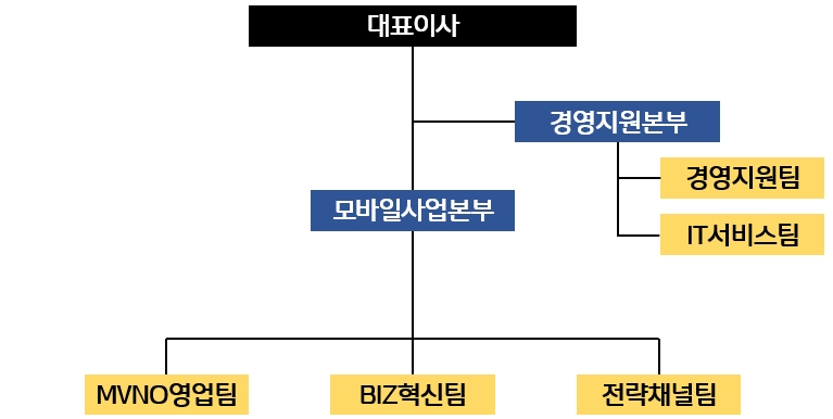 이미지: (주)아이즈비전 조직도