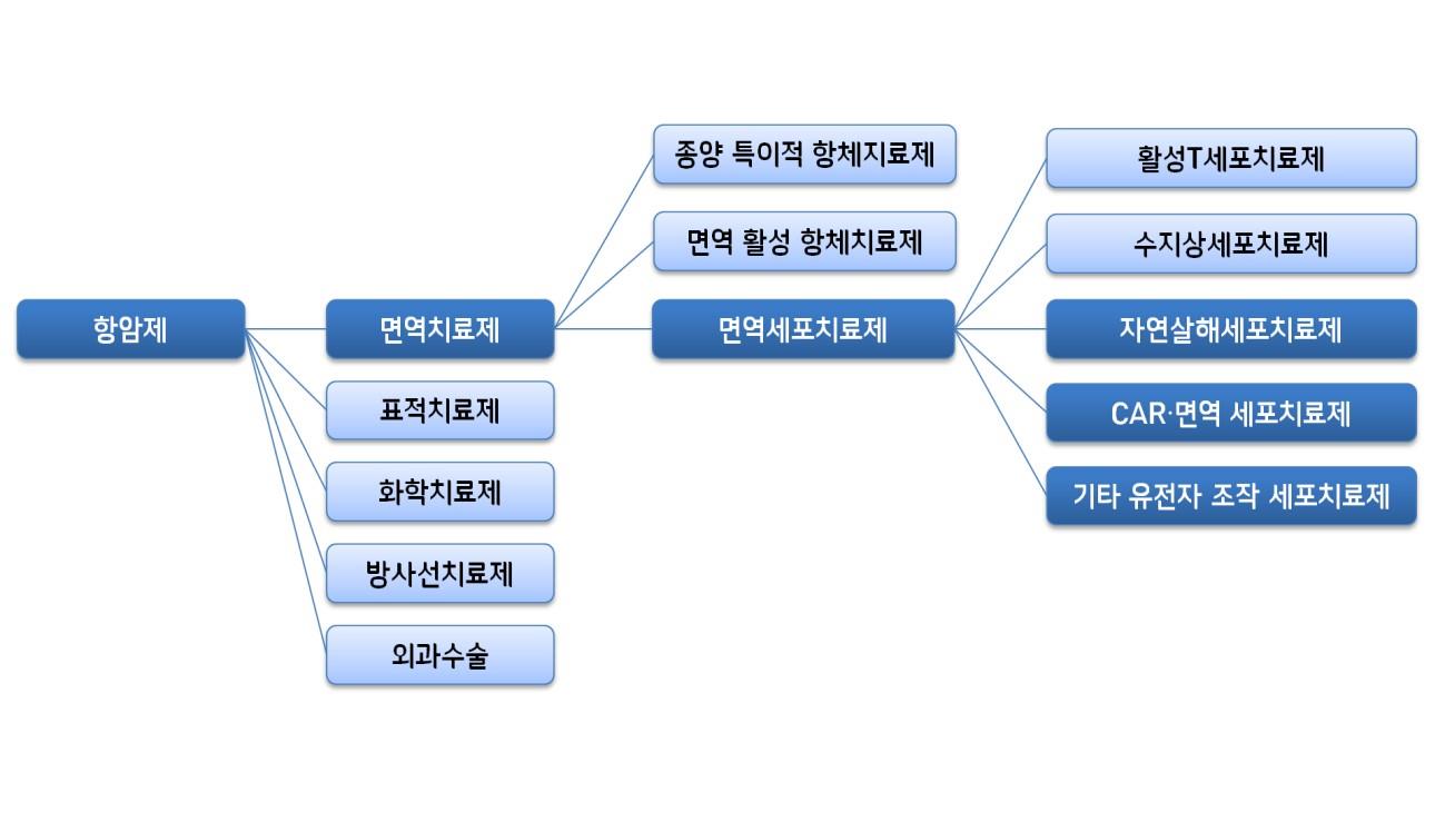 이미지: 세포치료법 중 NK세포치료제의 위치
