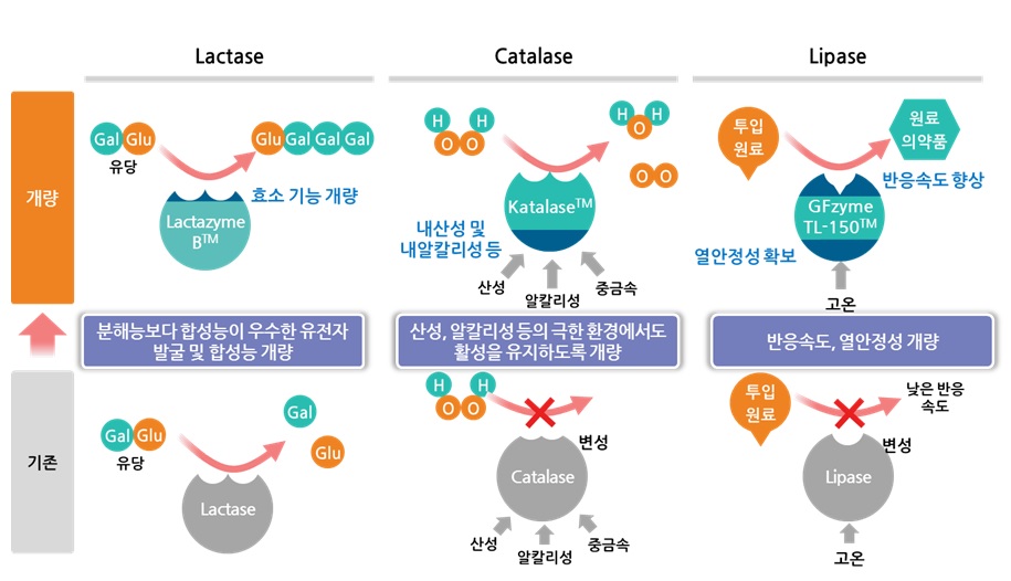 이미지: [당사가 개발한 맞춤효소 중 주력 제품 3가지]