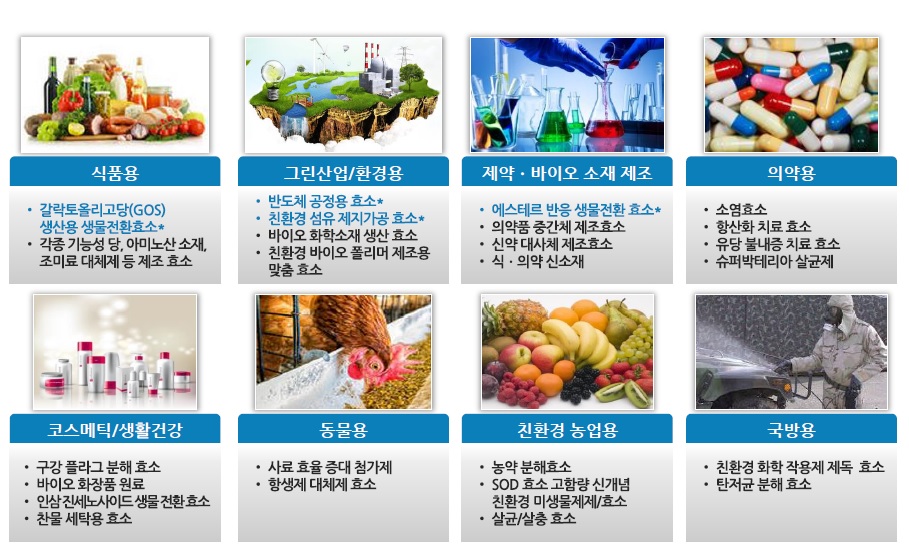 이미지: [platform 기술 기반으로 다양한 산업군에 필요한 맞춤 효소 개발]