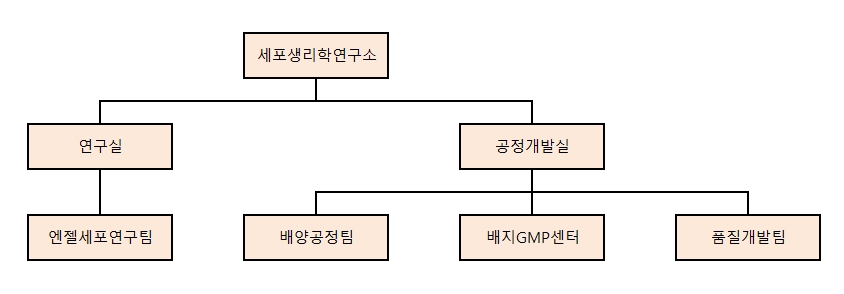 이미지: 주요 연구개발 조직도