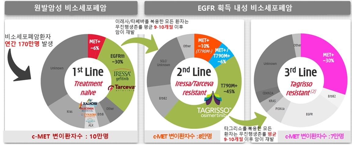 이미지: 비소세포폐암에서의 연간 c-met 변이 환자수