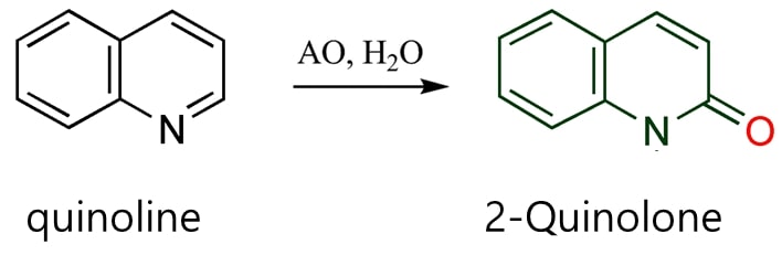 이미지: Aldehyde oxidase에 의한 quinoline 대사