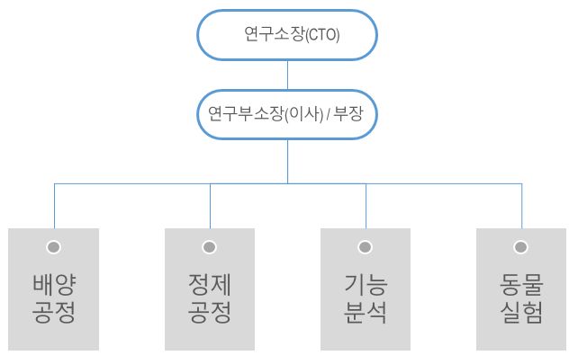 이미지: 연구소조직도