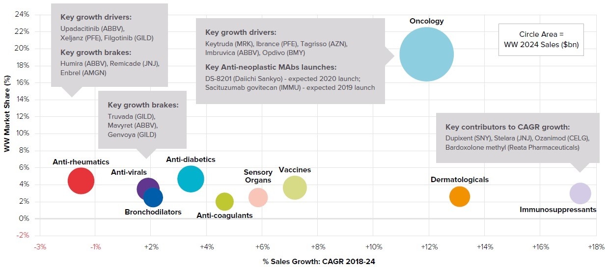 이미지: 의약품 분야의 시장점유율 및 성장률