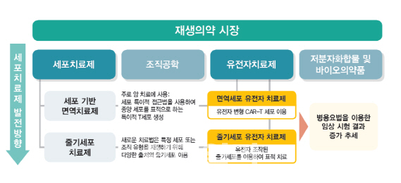 이미지: 재생의약시장