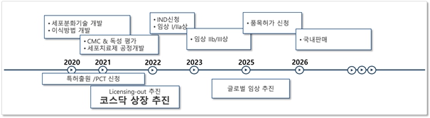 이미지: 당사당뇨치료 세포치료제개발현황및계획