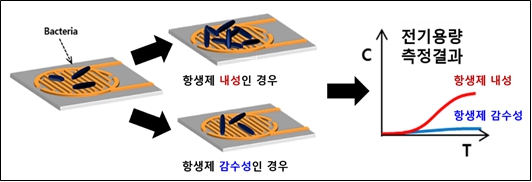 이미지: 전기용량 측정식 항생제 감수성 판별 바이오 칩 기술