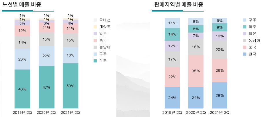 이미지: 당사 화물사업별 노선별 매출 비중