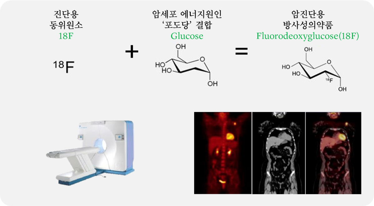 이미지: <FDG 작용원리 화학구조식, PET/CT, PET/CT 영상>