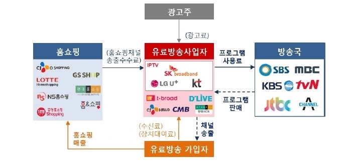이미지: 유료방송시장 사업구조