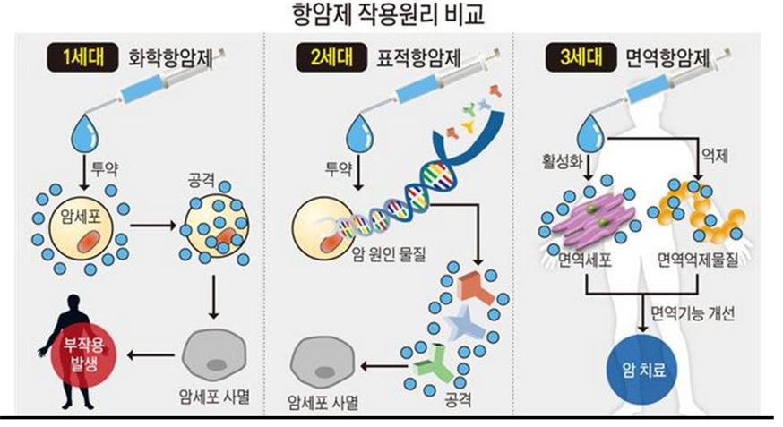 이미지: 항암제 작용원리 비교