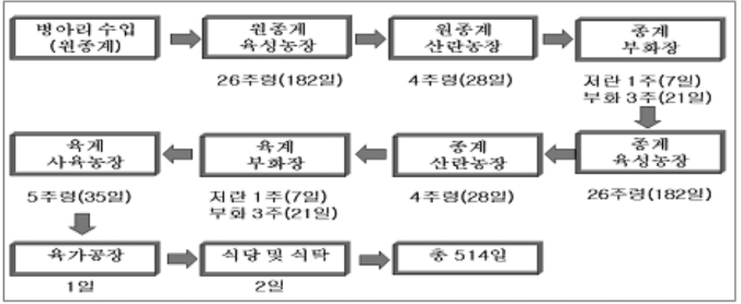 이미지: 육계사육 흐름