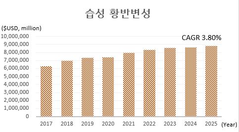 이미지: 습성 황반변성 치료제의 글로벌 시장규모 및 전망(2017~2025)