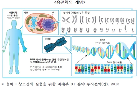 이미지: 유전체의 개념