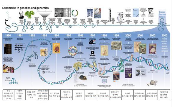 이미지: <유전체 산업 성장과정>