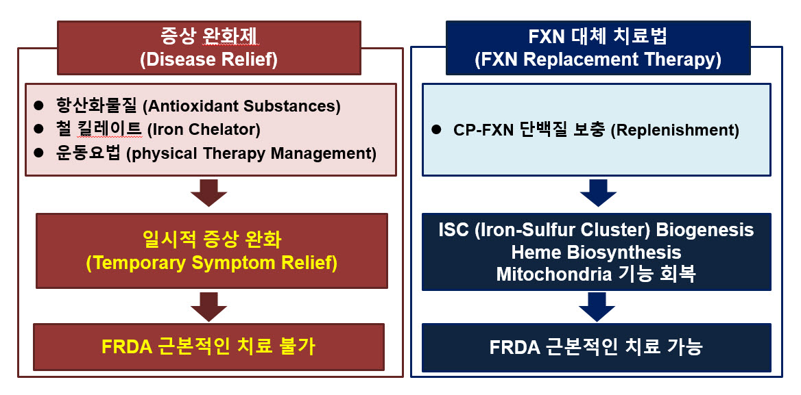 이미지: 프리드리히 운동실조증 치료제 과정