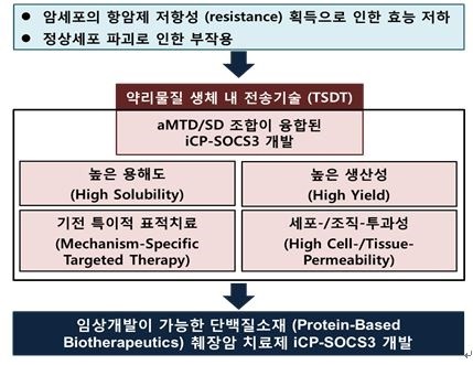 이미지: 췌장암 치료제 과정