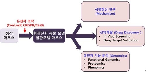 이미지: [질환모델 동물의 활용 가능 분야 (Applications of GEM)