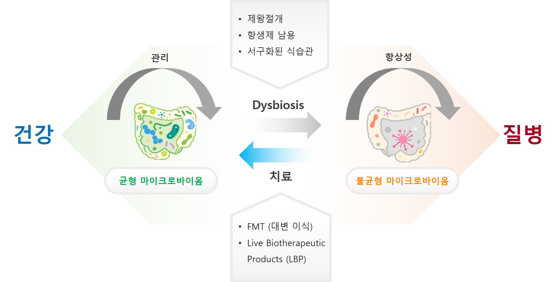 이미지: 마이크로바이옴과 건강 및 질병과의 관계
