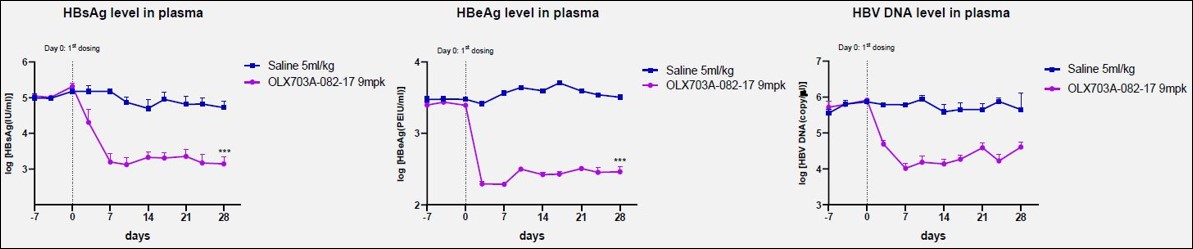 이미지: AAV/HBV 간염 마우스 모델에서 B형 간염 항원 및 HBV DNA 억제 효능 확인