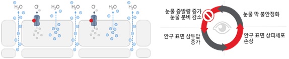 이미지: cftr activator의 작용기전