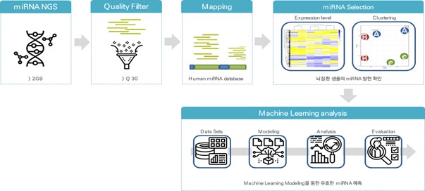이미지: miRNA 후보의 선정 과정