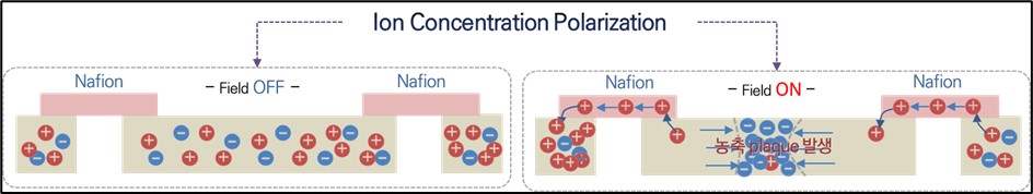 이미지: 이온농도분극(Ion Concentration Polarization) 원리