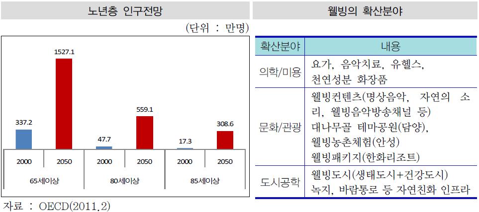 이미지: 노년층 인구전망 및 웰빙의 확산분야