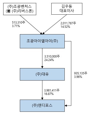 이미지: 관계기업 지배구조