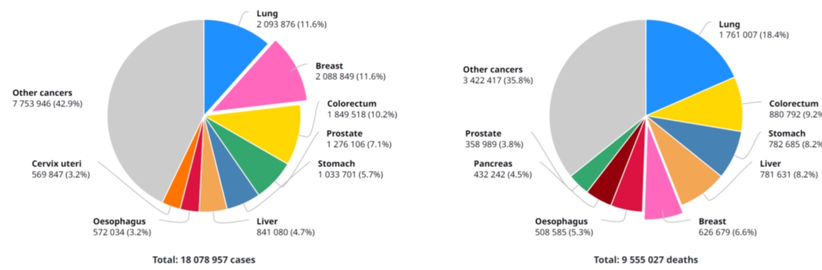이미지: 2018년 전 세계 암종별 환자 발생 현황(좌_신규환자, 우_사망자수)