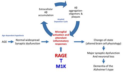 이미지: 모리아1000 작용기전 모식도