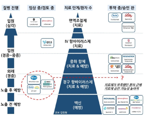 이미지: COVID-19 백신,치료제 시장 도식도