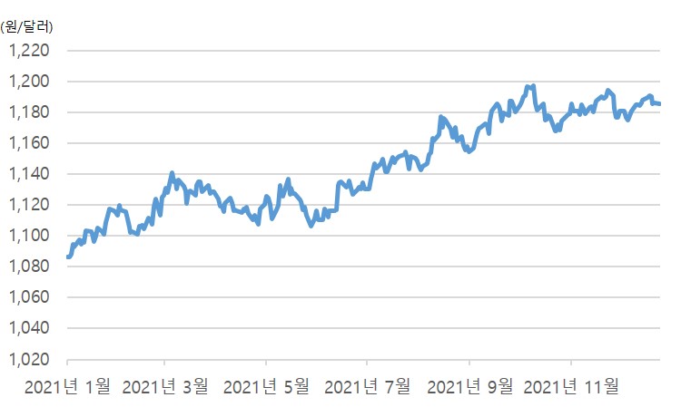 이미지: 2021년 환율추이_증권신고서