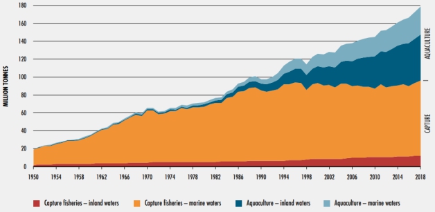 이미지: 세계 수산업 및 양식업 생산추이