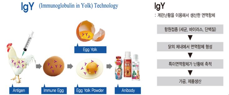 이미지: 애드바이오텍 IgY 기술개념 및 제품 상용화 과정