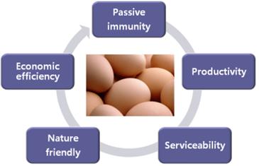 이미지: 특이난황항체의 장점