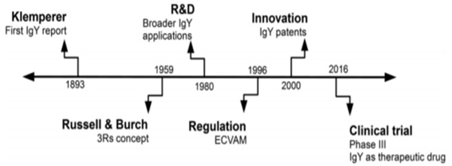 이미지: igy 기술의 타임라인