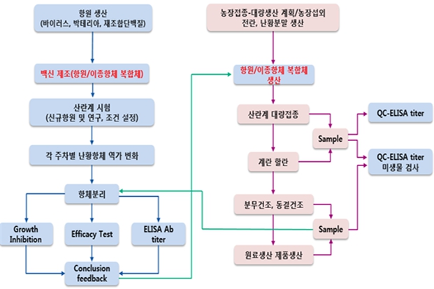 이미지: IgY제조공정도