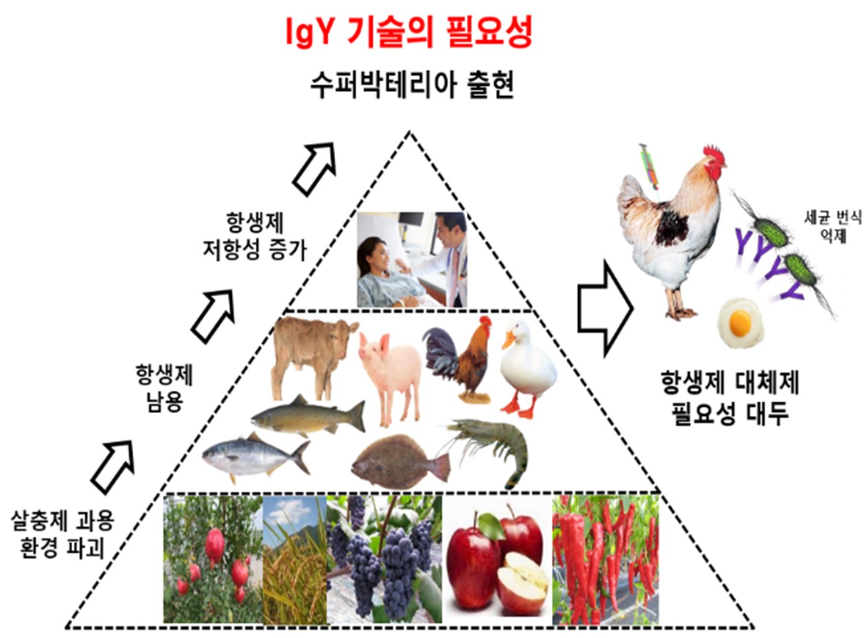 이미지: one health 문제 해결을 위한 igy 기술의 필요성