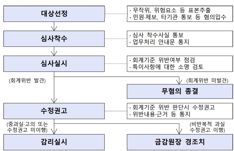 이미지: 재무제표심사 처리 흐름도