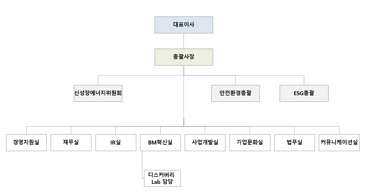이미지: sk디스커버리 조직도