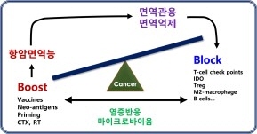 이미지: 출처: Immune Checkpoint Targeting in Cancer Therapy, Cell, Apr, 2018 (당사 재구성)