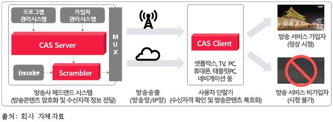 이미지: [CAS 솔루션 개념도]