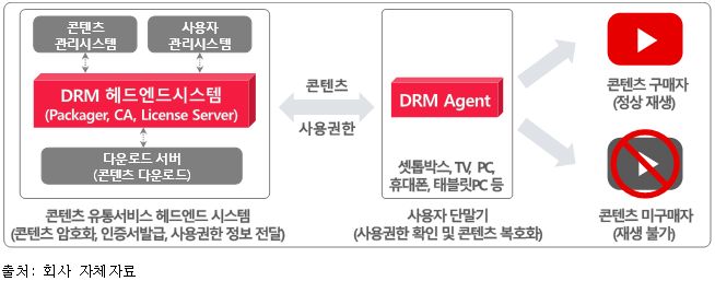 이미지: [DRM 솔루션 개념도]