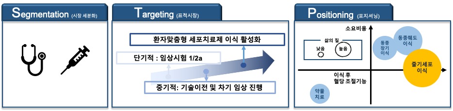 이미지: [줄기세포치료제의 STP 분석]