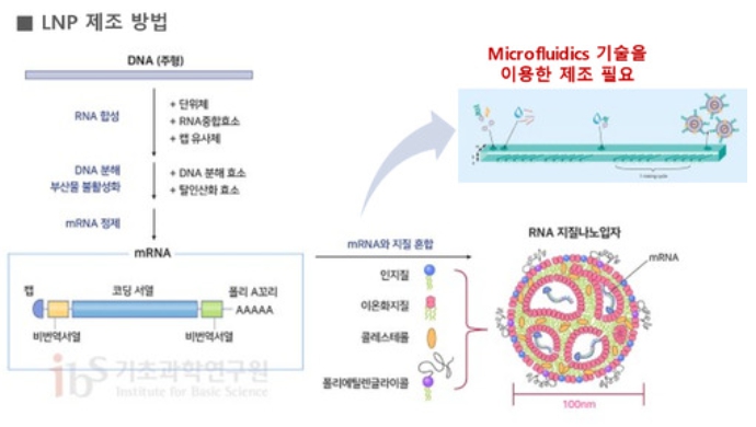 이미지: 지질나노입자(LNP)의 제조과정 및 구성요소