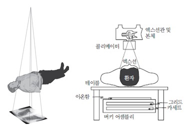 이미지: [X-ray 촬영의 기본구조 및 시스템]