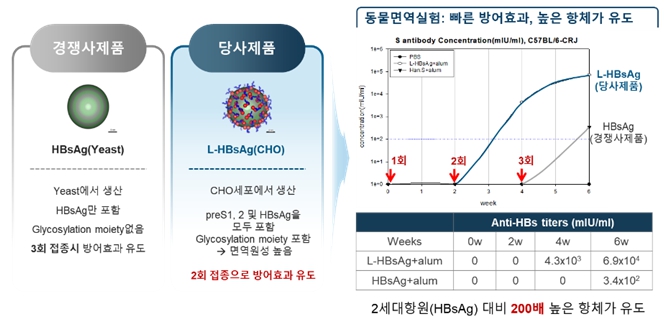 이미지: 기존 2세대 항원 대비 3세대 항원 L-HBsAg의 우수성 및 항체가 유도 결과