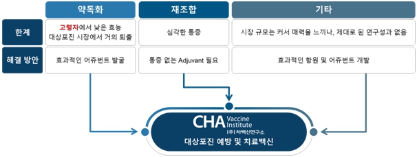 이미지: 대상포진 백신 사업화 전략